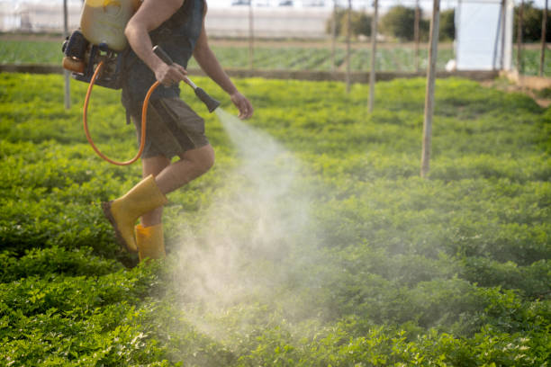 Professional Pest Control in Big Bend, WI