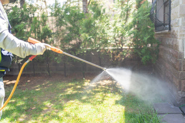 Best Pest Prevention Services  in Big Bend, WI