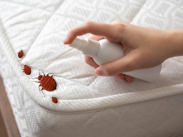 Best Exterminator Services  in Big Bend, WI