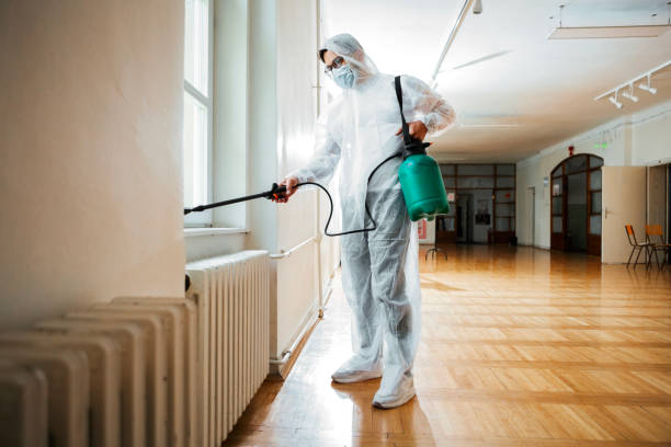 Best Pest Removal Services  in Big Bend, WI